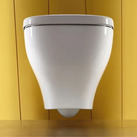 Jacob Delafon - Pack WC Suspendu Sans Bride Struktura + Abattant + Plaque + Bâti 2 Jacob Delafon - Pack WC Suspendu Sans Bride Struktura + Abattant + Plaque + Bâti – Image 2