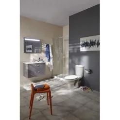 JACOB DELAFON Pack WC Au Sol Ekodo 2,6/4 L E0393LM-00 6 JACOB DELAFON Pack WC Au Sol Ekodo 2,6/4 L E0393LM-00 -JACOB DELAFON Soldes 2022 41598141 3